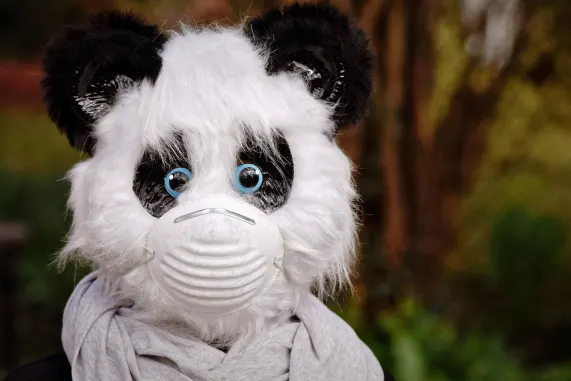 Kazino Eight Storm Atbalsts